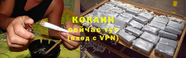 стаф Балахна