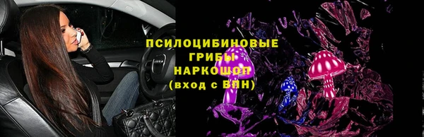 шишки Баксан
