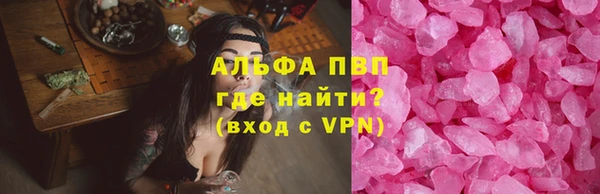 шишки Баксан