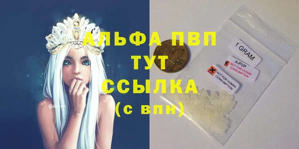 шишки Баксан