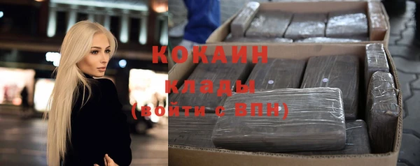 шишки Баксан