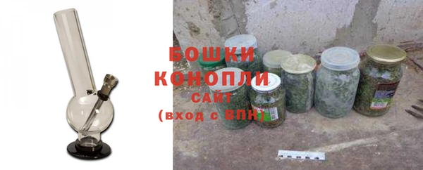 стаф Балахна