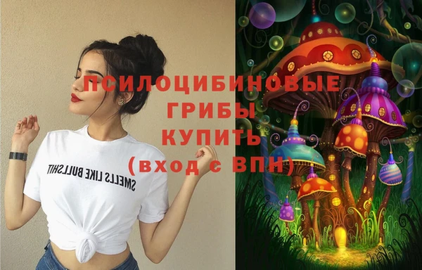 Альфа ПВП Гвардейск