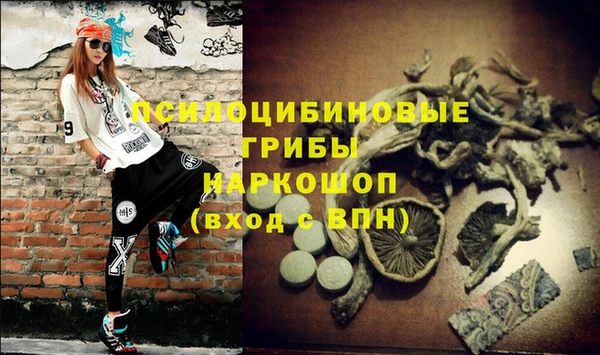 стаф Балахна