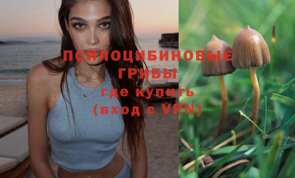2c-b Гатчина